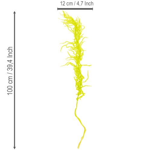 Article Fleurs séchées d'amarante teintées pour décoration intérieure raffinée et touches uniques, 100cm, lot de 5
