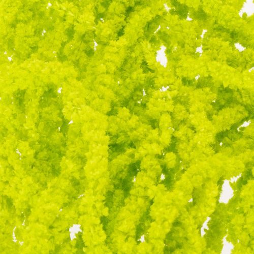 Article Fleurs séchées d'amarante teintées pour décoration intérieure raffinée et touches uniques, 100cm, lot de 5