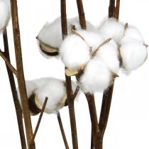 Article Branche de coton, branche décorative en coton, vrai coton L80cm 5pcs