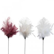 Article Plumes décoratives sur le bâton plumes d&#39;oiseaux blanc/crème/rose vieux 3 pièces