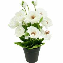 Article Pavot dans un pot de fleurs en soie blanche décoration florale