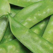 Article Pois Verts Aliments Artificiels Légumes 11,5cm 24 pcs