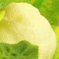 Article Décoration végétale chou-fleur artificielle blanc vert Ø9cm H15cm