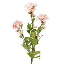 Article Fleurs artificielles Asters artificiels Fleurs en soie Rose 80cm
