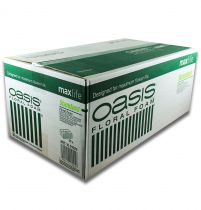 Article OASIS® plug mousse maxlife standard 20 briques