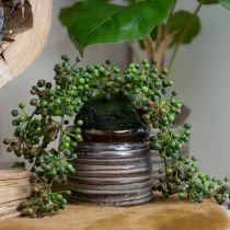 Article Fil de perles artificielles plante verte en boule de mousse 38cm