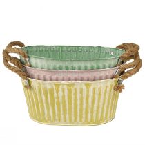 Article Bol à plantes pot ovale avec anse jaune/vert/rose 27cm 3pcs