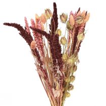 Article Bouquet de fleurs séchées grain Nigelle rose orange 50cm