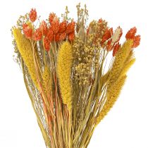 Bouquet de fleurs séchées avec grain orange jaune 50cm