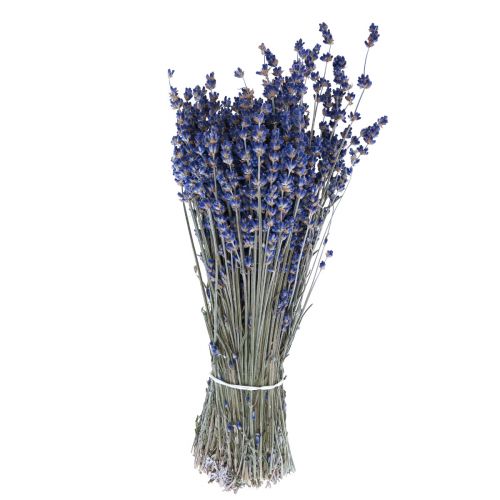 Article Fleurs décoratives de lavande séchée 25 cm 350 g, lot de 5
