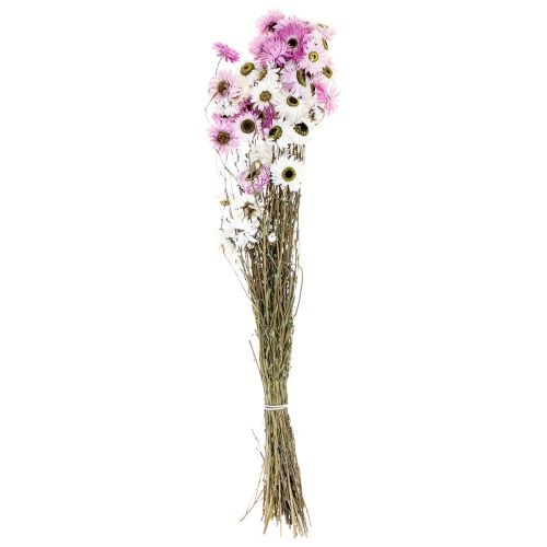 Article Fleurs séchées Blanc Rose Paille Fleurs 40-45cm 30g