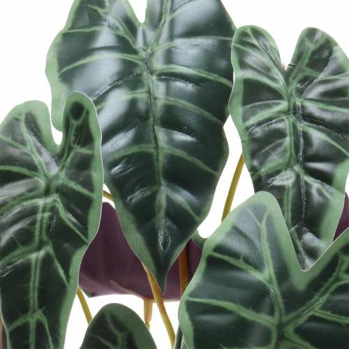 Article Alocasia flèche feuille verte, plante artificielle violette H48cm