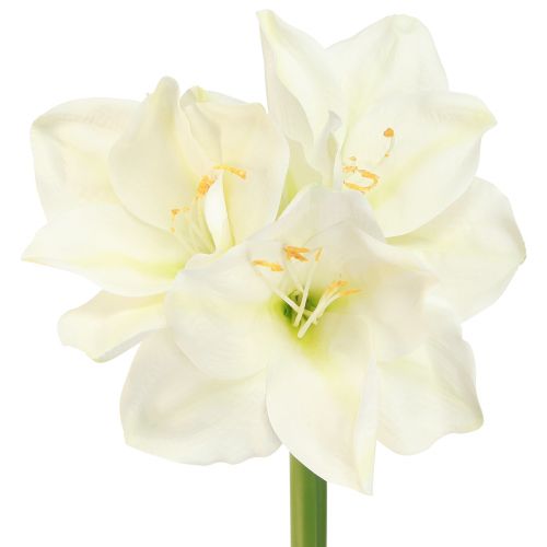 Article Amaryllis Fleurs de Noël artificielles L55cm blanc 2pcs