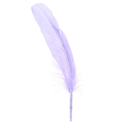 Plumes artisanales teintes en plumes d&#39;oie violettes 20g x 2pcs