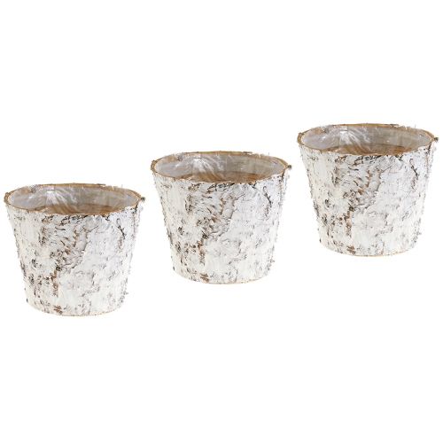 Article Pot avec écorce de bouleau blanchie cache-pot Ø15cm H12,5cm 3pcs