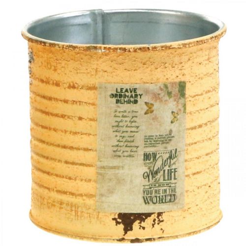 Article Boîte décorative été abricot métal boîte cache-pot Ø8cm H7.5cm