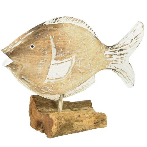 Floristik24 Support en bois poisson décoratif sur racine décoration maritime 27cm