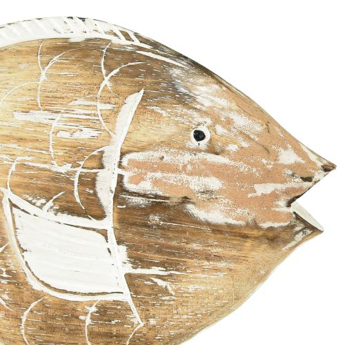 Article Support en bois poisson décoratif sur racine décoration maritime 27cm