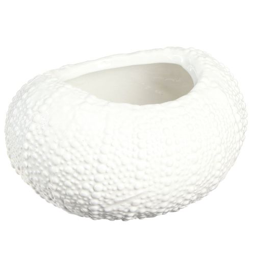 Bol décoratif ovale maritime en céramique blanc 19x15x8,5cm