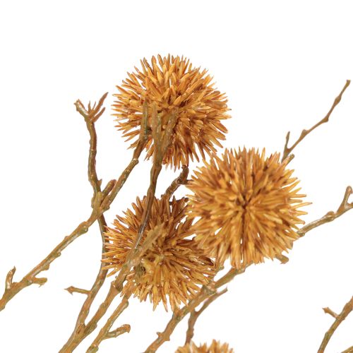 Article Branche décorative de liquidambar, fruits de l'arbre, brun ocre décoratif, 48 cm