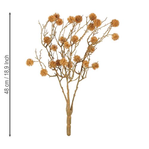 Article Branche décorative de liquidambar, fruits de l'arbre, brun ocre décoratif, 48 cm