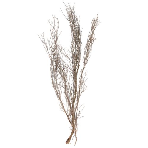 Article Branches décoratives Branches de thym décoratives naturelles séchées 500g