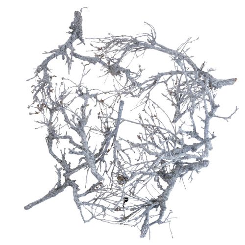 Floristik24 Branches déco bonsaï bois déco branches lavé blanc 800g