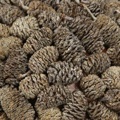 Article Boule décorative en cône d'aulne à suspendre, blanchie à la chaux, 20 cm