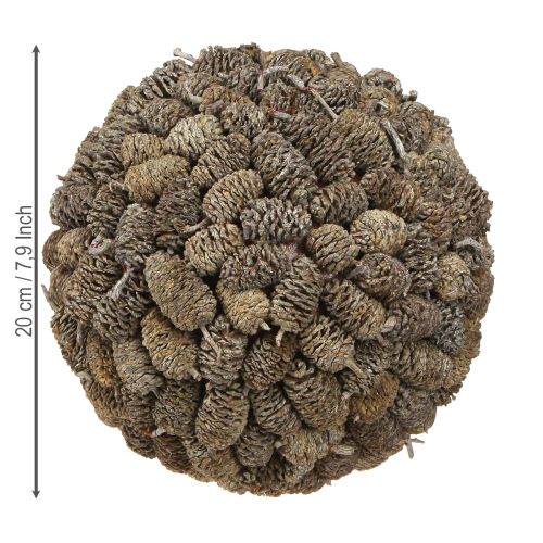 Article Boule décorative en cône d'aulne à suspendre, blanchie à la chaux, 20 cm