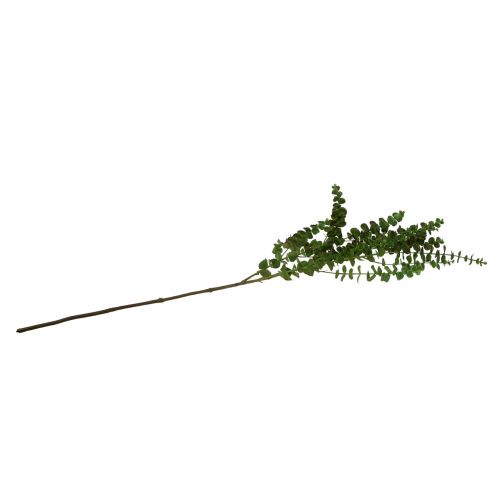 Article Branche d&#39;eucalyptus verte 130cm