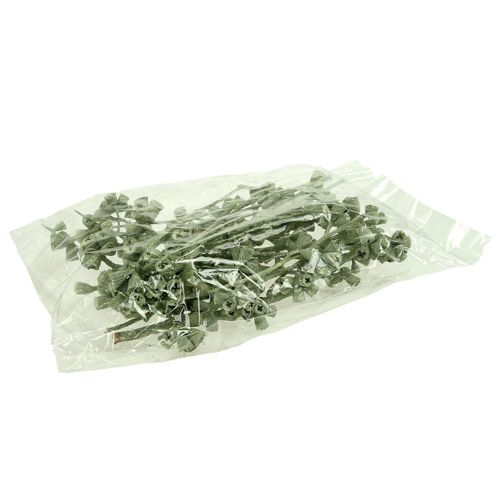 Article Branche d&#39;eucalyptus vert givré 25 pcs