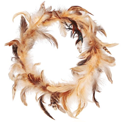 Couronne de plumes en plumes de couronne décorative marron clair Ø20cm 3pcs