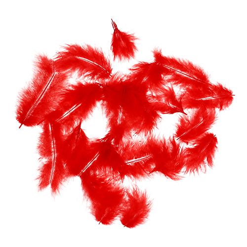 Plumes courtes 30g Rouge