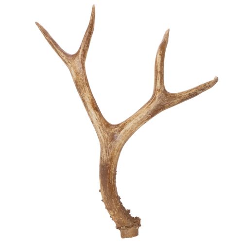 Article Bois de cerf artificiels, réalistes, rustiques, 32 cm