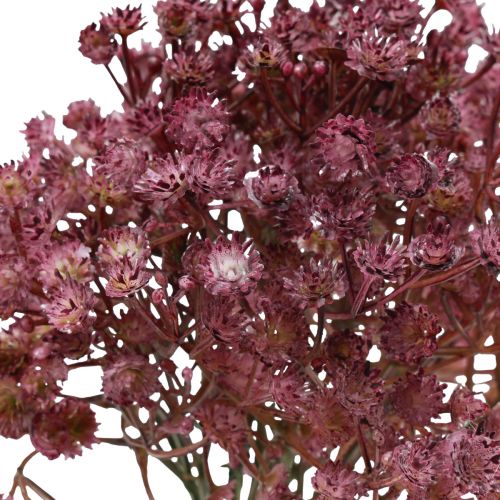 Article Gypsophila Gypsophila Gypsophila artificielle violet 35cm 5 pcs