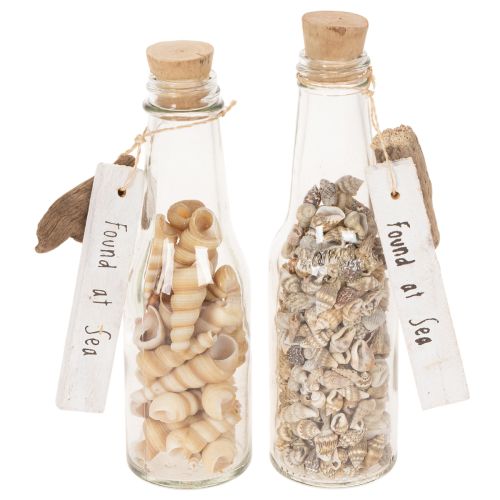 Article Bouteille décorative en verre avec coquillages et pendentif, décoration de table marine, 17 cm, 2 pièces