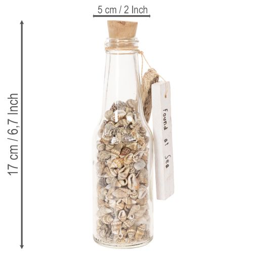 Article Bouteille décorative en verre avec coquillages et pendentif, décoration de table marine, 17 cm, 2 pièces