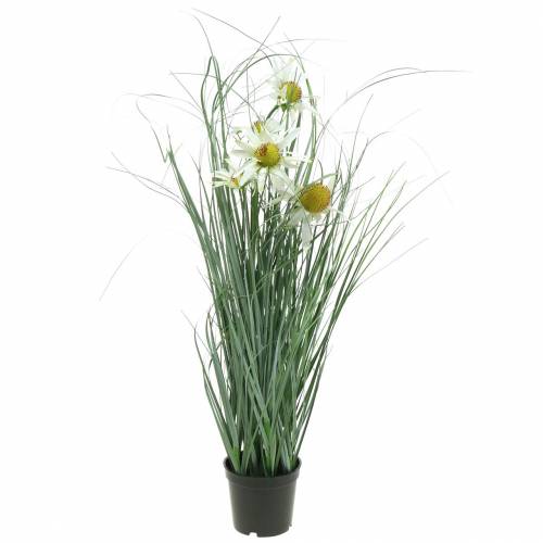 Floristik24 Herbe à échinacée artificielle en pot blanc 56cm