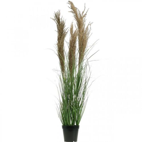 Article Carex artificiel en pot avec fleurs séchées vert, marron 98cm