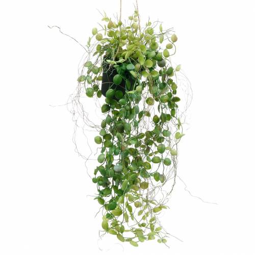 Pot suspendu plante verte chiné, Fleurs et vases, accessoires et