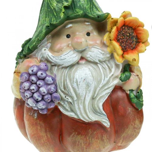 Floristik24 Gnome d&#39;automne décoration citrouille gnome assorti H11.5cm 2pcs