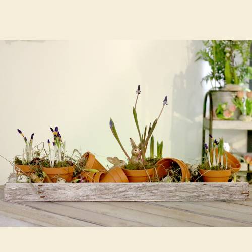 Article Pot de fleur argile Ø3.5cm H3cm 10pcs