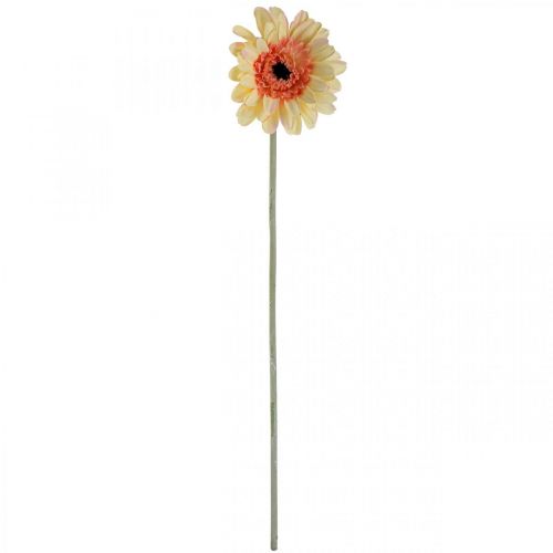 Article Fleur Gerbera Artificielle, Fleur Gerbera Artificielle Abricot Ø11cm L50cm