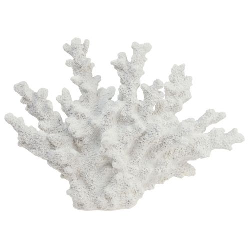 Floristik24 Décoration maritime corail polyrésine blanc 18,5×26cm