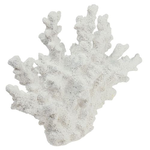 Floristik24 Décoration maritime corail polyrésine blanc 18,5×26cm