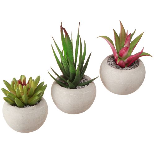 Mini Plantes Succulentes en Pot Plantes Artificielles Décoration Ø6,5cm 6pcs