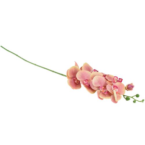 Article Orchidée Phalaenopsis artificielle 9 fleurs rose vanille 96cm