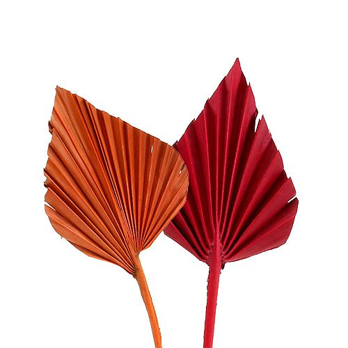 Mini sorte de Palmspear. Rouge/Orange 100 pièces