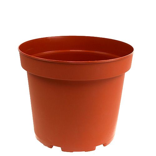 Floristik24 Cache-pot plastique Ø19cm 10pcs