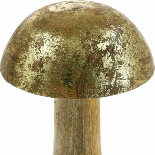 Floristik24 Champignon manguier doré, champignon naturel décoratif Ø9cm H15.5cm 2pcs